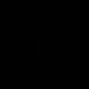 Meet your Posher, Tiff